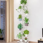 Zstar Présentoir à fleurs à 8 étages de 141 cm de haut - En métal - Pour intérieur et extérieur - Étagère d'angle - Pour salon, jardin, balcon, décoration - Blanc