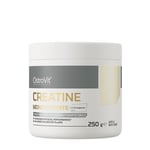 OstroVit - Creatine Monohydrate (Creapure®), Apple-Mint- 250 g