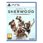 Jeu Nacon Gangs Of Sherwood Ps5sherwoodspit