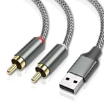 Câble USB vers 2 RCA, USB 2.0 vers 2rca mâle 2 phono connecteur y Splitter Cable, PC USB vers stéréo convertisseur de câble audio avec décodeur puce HiFi (2M)