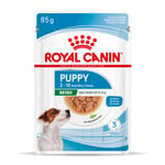 Royal Canin Mini Puppy i sauce - 24 x 85 g