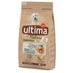 Ultima Dog Nature Mini Adult Laks - Økonomipakke: 3 x 1,25 kg