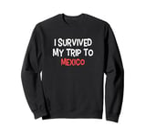 I Survived My Trip To MEXICO T-Shirt Simple City MEXICO Sweatshirt