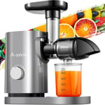 Slow Masticating Juicer, AAOBOSI Juicer Machines with Quiet Grey 