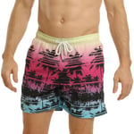 RIPT Mens PLM Swim Shorts Pink XL