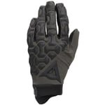 DAINESE Hgr Gloves Ext - Vert / Noir taille 10 2023