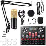 Home Studio Recording Kit Podcast Music Mixer Equipment Condenser Microphone Set