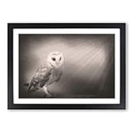 Big Box Art Light Upon The Barn Owl Framed Wall Art Picture Print Ready to Hang, Black A2 (62 x 45 cm)