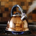 VOCHE 3.5L COPPER STAINLESS STEEL WHISTLING KETTLE GAS ELECTRIC + INDUCTION HOBS