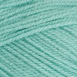 Stylecraft 9041842 Fil à tricoter spécial DK Menthe verte (1842) – 100 g