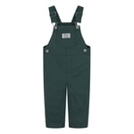 GREEN Levi's®Carpenter Overa - BISTRO