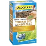 Semance gazon terrain sec et ensoleillé - 1 Kg