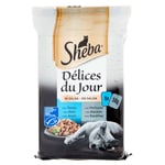 Sheba Nourriture Humide pour Chat Délices du Jour, saveur Poisson, Lot de 12 x 6 sachets x 50 g