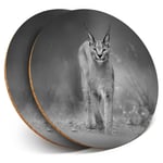 2 x Coasters bw - Caracal African Lynx Cat  #38978