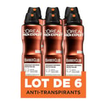 L'Oréal Paris - Men Expert BarberClub Déodorant Bodyspray Protection 48h - 150ml - Lot de 6, Aérosol, Bois de cèdre