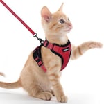 rabbitgoo Harnais Chat Anti évasion avec Laisse Rouge XXS, Harnais Chaton Petit Chien Réglable, Collier Harnais et Laisses pour Chat Refléchissant Attache Dessus Gilet Respirant pour Lapin Chat Chiot