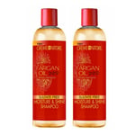 2x Creme of Nature Argan Oil Moisture & Shine Shampoo, 20 oz / 591 ml