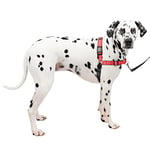 PetSafe Easy Walk – Harnais pour Chien de Luxe Anti-Traction – Parfait pour Le Dressage de Laisse et de Harnais – Empêche Les Animaux de Tirer et de s'étouffer Lors des promenades – Taille L, Rose