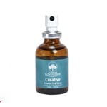 Bush Flower Creative Essence 30ml Oral Spray - Inspire Creativity & Imagination