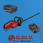 ENSEMBLE Honda HHH 36 BXB TAILLE-HAIE + batterie 2Ah + chargeur