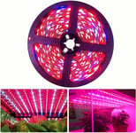 LED Plant Grow Light Strip DC 12V IP20 Full Spectrum SMD 5050 Red Blue 4:1 köysivalot akvaarioon