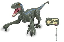 Jamara 410153 410153 Vélociraptor Dinosaure Li-ION 3,7 V 2,4 GHz RC pour débutant Modèle Fonctionnel électrique Vert