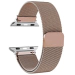 Milanese loop rem för Apple Watch band 44mm 40mm 45mm 49mm 41mm 38mm 42mm 44mm Armband iwatch Series 9 3 6 5 SE 7 8 Ultra 2 starlight - Rose gold Rose gold 38mm/40mm/41mm