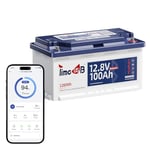 Timeusb Batterie Lithium 12V 100Ah Bluetooth H190 Batterie LiFePO4 avec Protection à Basse Température,BMS Intelligent,Max.15000 Cycles Profonds 4S4P 20,48kWh pour Camping-car Caravane Bateau Solaire