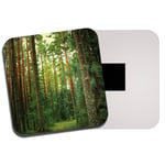 Beautiful Forest Fridge Magnet - Trees Walking Hiking Camping Cool Gift #13079