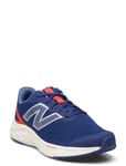 New Balance New Balance Freshfoam Arishi V4 Kids Lace Blå