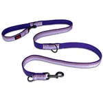 Laisse Double HALTI – Laisse éducative pour Chien avec Coutures Réfléchissantes - Confortable à tenir avec longueur réglable. Convient pour La Marche Quotidienne et Le Dressage (Taille S, Violet)