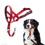 HALTI Headcollar Size 4 Red, UK Bestselling Dog Head Harness to Stop Pulling on the Lead, Easy to Use, Padded Nose Band, Adjustable & Reflective, Professional Anti-Pull Training Aid for Large Dogs