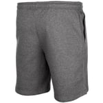 Nike Park Fleece Shorts