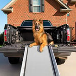 PetSafe Rampe télescopique XL pour Chiens - Idéale pour Les Voitures, camions et SUV - Cadre en Aluminium Durable - Supporte jusqu'à 136 kg - Surface à Forte Traction avec Mains courantes