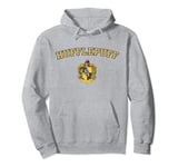 Harry Potter Varsity Hufflepuff Crest Pullover Hoodie