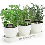 PERFNIQUE Jardin d'herbes aromatiques d'intérieur pour intérieur/extérieur, Pots de Fleurs de Ferme, kit de Jardin d'herbes aromatiques avec Plateau, Pots de fenêtre pour Plantes d'intérieur (Blanc