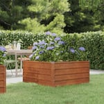 Jardinière Bac a Fleur Gris 100x100x45 cm Acier corten 80403