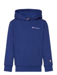 Champion Hooded Sweatshirt Blå