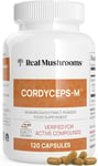 Real Mushrooms Cordyceps Capsules - Performance 120 count (Pack of 1) 