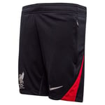 Liverpool Treningsshorts Dri-FIT Strike - Sort/Rød Barn - Nike, størrelse L: 147-158 cm