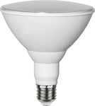 LED-lampa E27 PAR38 Plant Light