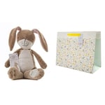 Guess How Much I Love You Large Nutbrown Hare & Hallmark New Baby Large Gift Bag - Embossed Design