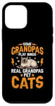 iPhone 12 mini Some Grandpas Play Bingo Real Grandpas Pet Cats Siamese Cat Case