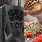 New 4G Trail Camera Infrared Induction 4K 36MP Waterproof Game Camera For Home S