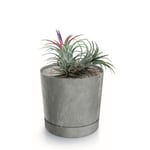 Botle Pot De Fleur Rond Gris Clair Plastique Beton Effect Cache Pot 19,6 Cm Decoratif Bac A Plantes Avec Soucoupe Fleurs