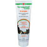 Vétoquinol Care Energie Gel 120 g Gel(S)