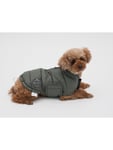 Nordic paws - Dog Raincoat Albert - Green - L - 45cm