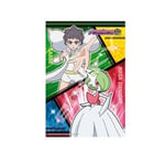 Puzzle Pokemon - Carne & Mega Sirnight / Gardevoir 300 Pcs