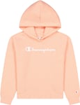 Champion Hooded Sweatshirt