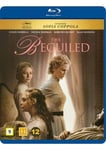 The Beguiled (Blu-ray)